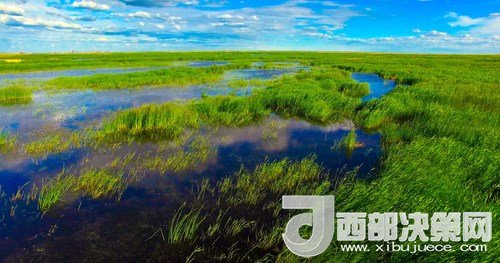 呼倫湖濕地。吳勇攝