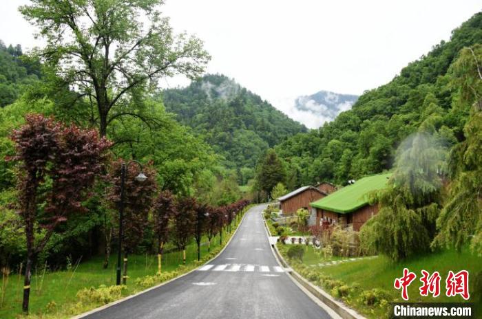 九寨溝熊貓園外景?！【耪瘻峡h委宣傳部提供 攝