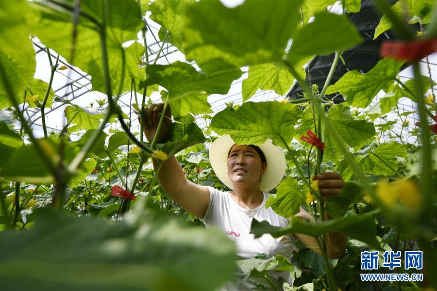 （新華全媒頭條·百萬大移民·圖文互動(dòng)）（1）從大山深處到大河之畔——寧夏持續(xù)移民百萬“拔窮根”啟示