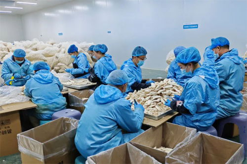 长子县宋村冻干食品产业园呈现产销两旺势头